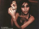 P.J. Harvey A Place Called Home 7