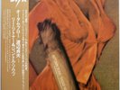 SADAO WATANABE / LEE RITENOUR / AUTUMN BLOW / FLYING DISK JAPAN OBI VIJ-6006
