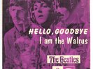 15659 - THE BEATLES - HELLO, GOODBYE - RARE NORWAY 45/PS