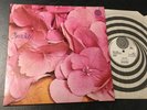 STILL LIFE s/t LP -71 UK VERTIGO 6360 026 rare hard prog