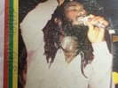 Vp Reggae Artist 