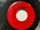 Jerry Smith 45 I Don't Care What They Say