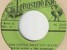 ** JUSTIN HINDS & THE DOMINOS THE LITTLE THAT YOU HAVE  TREASURE ISLE ROCKSTEADY