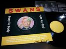 Swans ?