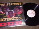The HEPTONES university of dub Reggae Roots vinyl RECORD 12