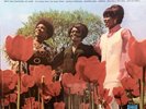 THE MARVELETTES In Full Bloom STILL SEALED Original VINYL LP 1969 Tamla Motown