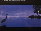 The Tragically Hip - In Violet Light (180g Vinyl LP)  NEW