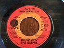 4-David And The Giants-45 rpm-vinyl record.Rock-In Robin/I'll Always Love You.