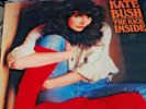 KATE BUSH THE KICK INSIDE USA 1978 PRESS DIFF COVER ART 33RPM VINYL LP  EX