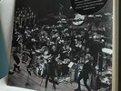 MAD SEASON (ALICE IN CHAINS) SEATTLE original Vinyl 2LP Sonic Evolution(2016)