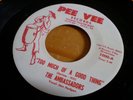 The Ambassadors - Too Much of a Good Thing US PEE VEE 1970s unofficial northern