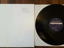 Dead Boys - Young, Loud and Snotty RARE Holland NM Promo PUNK LP