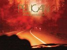 RSD - PELICAN - MIDNIGHT & MESCALINE 7