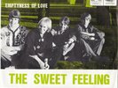 The Sweet Feeling - Emptyness of Love - Freakbeat Mod Garage Psych 45 vinyl 1967
