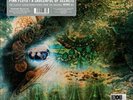 PINK FLOYD - A Saucerful Of Secrets - LP 2019 RECORD STORE DAY - NUOVO  NEW  DL
