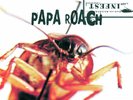 Papa Roach 