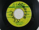 45 Record Antler The Jewels The Wind Pearlie Mae Doo Wop