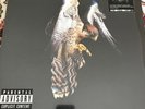 THE COURTEENERS - FALCON lp sealed RSD 19 Record Store Day 2019 New - Limited