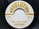 RUBEN RAMOS y MEXICAN REVOLUTION - Rare Killer Latin Cumbia Jazz 7
