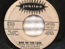 SKYLINERS WHO DO YOU LOVE/ GET YOURSELF A BABY JUBILEE WLPROMO 7