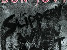 Bon Jovi 