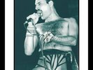 VERY COOL - FREDDIE MERCURY - QUEEN - ROCK LEGEND - ORIGINAL SIGNED AUTOGRAPH