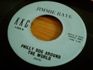Jimmie Raye - Philly Dog Around the World (EX) KKC 002 1970s unofficial northern
