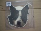 GINGER WILDHEART - I WANNA BE YOURS - SHAPED PICTURE DISC - 2019 RSD  WILDHEARTS