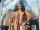HOWARD STERN PRIVATE PARTS BLUE VINYL LP RECORD STORE DAY RSD 2019 MINT SEALED