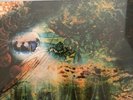 PINK FLOYD SAUCERFUL OF SECRETS 2019 RECORD STORE DAY RSD VINYL MONO NEW