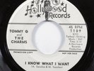 Northern Soul 45 TOMMY G & CHARMS I Know What I Want HOLLYWOOD VG++ promo HEAR