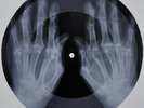Ray Charles - Hit The Road Jack X-RAY USSR ROENTGEN Bones Record