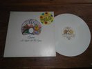  33t Lp Queen A Night at the Opera France 1976 White vinyle blanc VG+