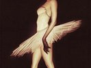 Black Swan [Original Motion Picture Soundtrack] LP (Vinyl, Feb-2016, Mondo)