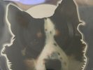 Ginger Wildheart - I Wanna Be Yours / No Regrets 1000 ONLY RSD 2019 12'' Vinyl