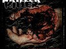 DRILLER KILLER - REALITY BITES (VINYL) Preorder
