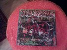 YEAH YEAH YEAHS - FEVER TO TELL / NEW VINYL LP [RE] 2017 FACTORY SEALED UNUSED