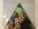 Modest Mouse- Poison The Well RSD 19 Triangular vinyl 45