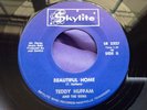 Rare Black Gospel Soul Funk 45 : Teddy Huffam & The Gems   Beautiful Home