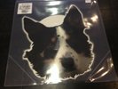 GINGER WILDHEART - I WANNA BE YOURS 7