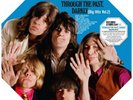 The Rolling Stones - Through The Past Darkly (Big Hits Vol 2)   RSD 2019 Orange 