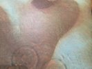 pink floyd meddle vinyl