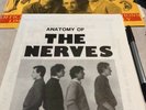 THE NERVES   Notre Demo   Very RARE LP   Punk Rock  1500 copies Mint Copy