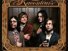 Raconteurs Broken Boy Soldiers 180 Gram Vinyl LP copper-embossed