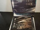 japan rain tree crow Blackwater UK original 12
