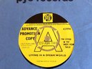 Northern Soul Uk DEMO Pye The Rainbow People Living In A Dream World Casino Clas