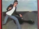 ALAIN BASHUNG   LP ORIG FR  ROMAN PHOTOS