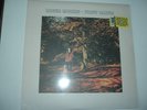 First Album von Roger Morris (2009), Vinyl, Neu OVP,