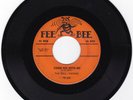 DELL-VIKINGS  - 45 - Come Go With Me                       Rare Fee Bee issue