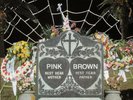 PINK AND BROWN Every... 2x Vinyl LP Ltd. Ed. (Ty Segall,Coachwhips,Thee Oh Sees)